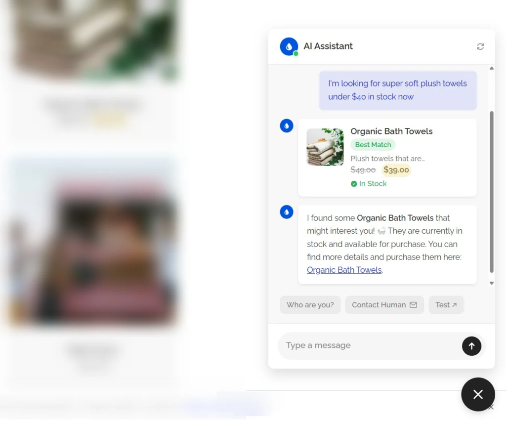 WordPress Chatbot Use Case in eCommerce